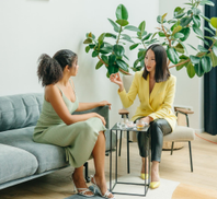 Auto generated site nutrition clinic